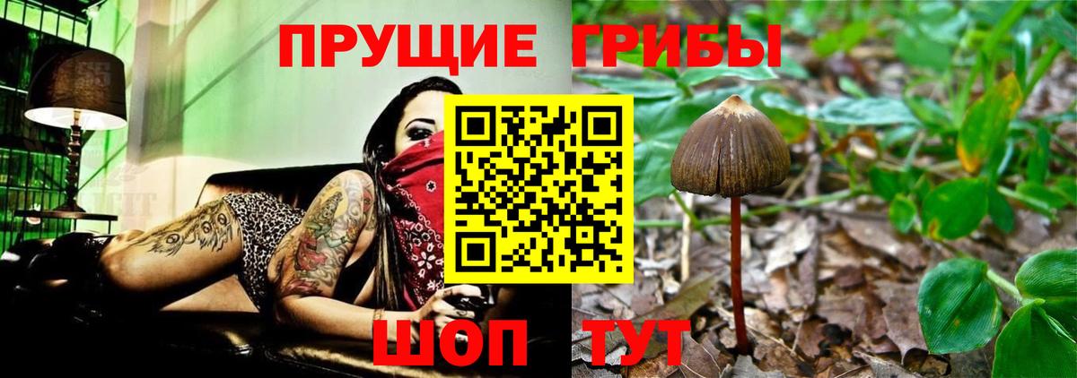 Галлюциногенные грибы MAGIC MUSHROOMS  Псилоцибиновые грибы мухоморы  Вход с VPN  Салават 